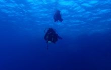 Zdjęcia z Safari Nurkowe St Johns 2017