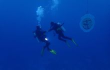 Zdjęcia z Safari Nurkowe St Johns 2017