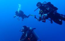 Zdjęcia z Safari Nurkowe St Johns 2017