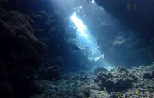 Zdjęcia z Safari Nurkowe St Johns 2017