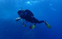 Zdjęcia z Safari Nurkowe St Johns 2017