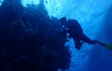 Zdjęcia z Safari Nurkowe St Johns 2017