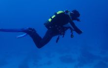 Zdjęcia z Safari Nurkowe St Johns 2017