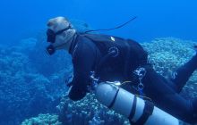 Zdjęcia z Safari Nurkowe St Johns 2017