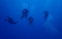 Zdjęcia z Safari Nurkowe St Johns 2017