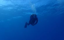 Zdjęcia z Safari Nurkowe St Johns 2017