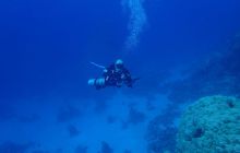 Zdjęcia z Safari Nurkowe St Johns 2017