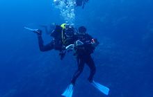 Zdjęcia z Safari Nurkowe St Johns 2017