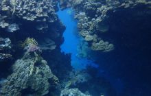 Zdjęcia z Safari Nurkowe St Johns 2017