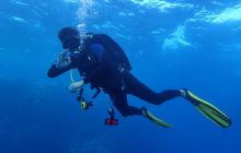 Zdjęcia z Safari Nurkowe St Johns 2017