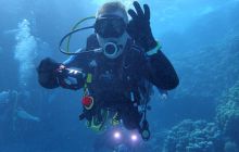 Zdjęcia z Safari Nurkowe St Johns 2017