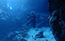 Zdjęcia z Safari Nurkowe St Johns 2017