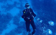 Zdjęcia z Safari Nurkowe St Johns 2017