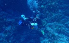 Zdjęcia z Safari Nurkowe St Johns 2017