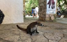 Zdjęcia z Meksyku I