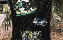 Zdjęcia z Meksyku I