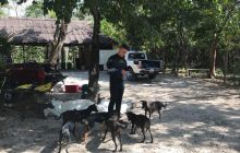 Zdjęcia z Meksyku I