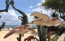 Zdjęcia z Meksyku I