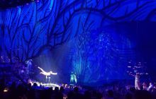 Zdjęcia z Meksyku I