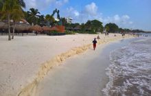 Zdjęcia z Meksyku I