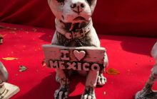 Zdjęcia z Meksyku II