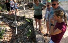 Zdjęcia z Meksyku II