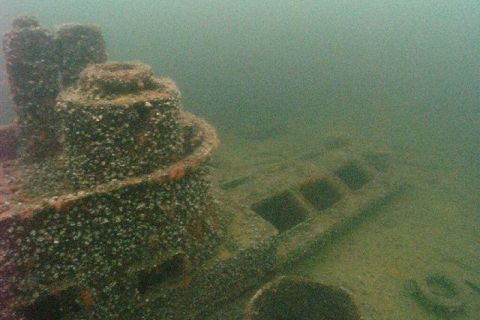 Nurkowanie wrakowe Delfin + Groźny