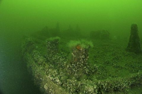 Nurkowanie wrakowe Delfin + Groźny