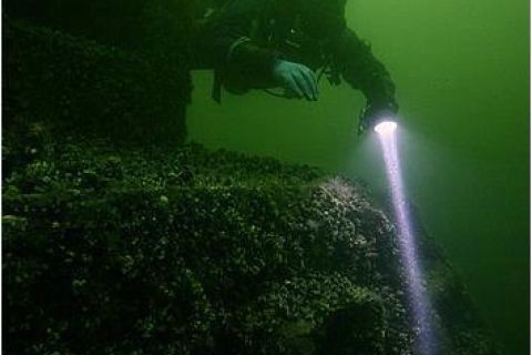 Nurkowanie wrakowe Delfin + Groźny