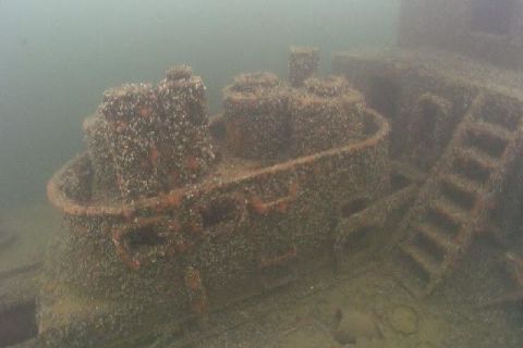 Nurkowanie wrakowe Delfin + Groźny