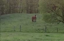Zdjęcia z majowego weekendu na Hańczy