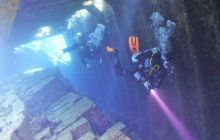 Zdjęcia z safari wrakowego maj 2018