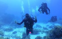 Zdjęcia z safari wrakowego maj 2018