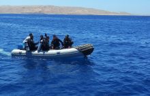 Zdjęcia z safari wrakowego maj 2018