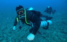 Zdjęcia z safari wrakowego maj 2018