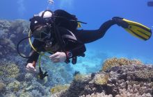 Zdjęcia z safari wrakowego maj 2018