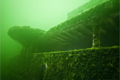 Czwartkowe nurkowanie wrakowe