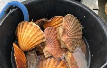 Zdjęcia z wyjazdu do Kristiansand