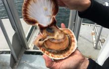 Zdjęcia z wyjazdu do Kristiansand