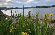 Zdjęcia z wyjazdu do Kristiansand