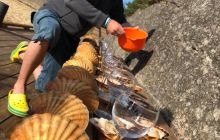 Zdjęcia z wyjazdu do Kristiansand