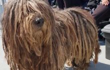 Zdjęcia z wyjazdu do Kristiansand