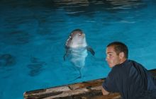 Wielki Błękit w Starym Kadrze