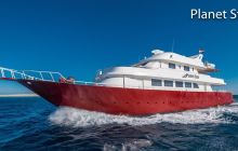 Safari nurkowe Dedalus i Fury Shoals