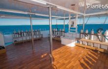 Safari nurkowe Dedalus i Fury Shoals