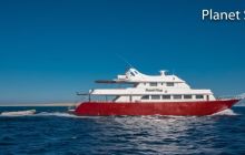 Safari nurkowe Dedalus i Fury Shoals