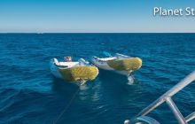 Safari nurkowe Dedalus i Fury Shoals