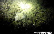 Weekend wrakowy 1-2 września na Litoralu