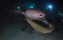 Zdjęcia z wyjazdu na Malediwy