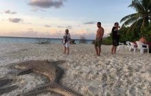 Zdjęcia z wyjazdu na Malediwy